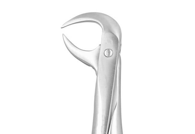 LOWER MOLAR No 86 AP