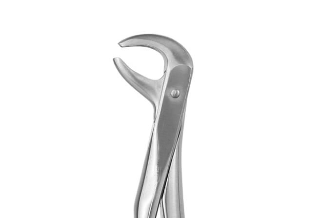 LOWER PREMOLAR No 75.png