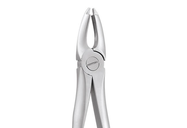 UPPER CENTRALS CANINES