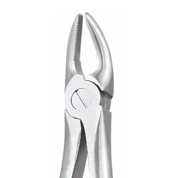 UPPER PREMOLAR No 7 P