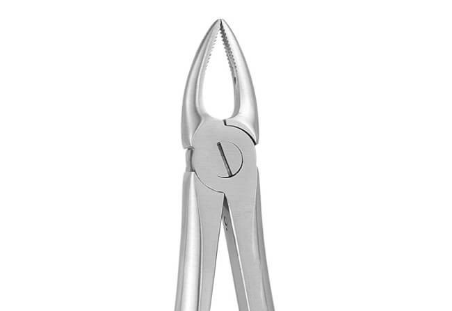 UPPER ROOT NARROW NO 29 NP