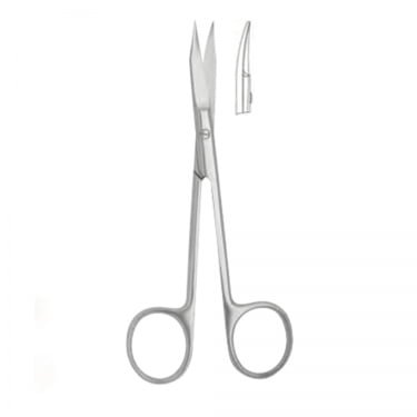 Gold Man – Fox Scissor