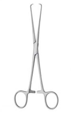 Schroeder Forceps